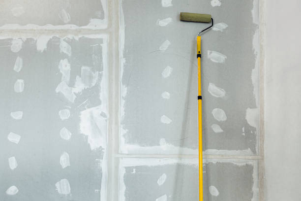 Best Real Estate Mold Inspection  in Crete, IL