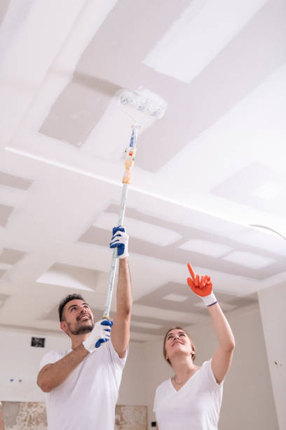 Mold Removal for HVAC Installations in Crete, IL