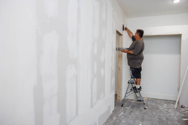 Best Mold Documentation for Insurance Claims  in Crete, IL