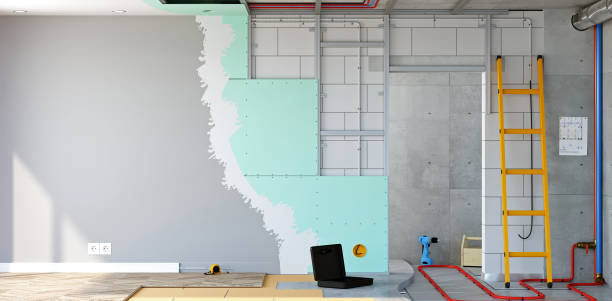 Best Airborne Mold Testing  in Crete, IL