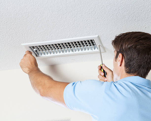 Best HVAC Mold Inspection and Cleaning  in Crete, IL