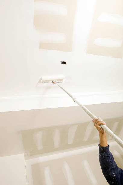 Best Mold Remediation for Healthcare Facilities  in Crete, IL