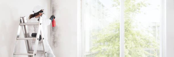 Best Biohazard Mold Removal  in Crete, IL