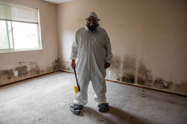 Best Commercial Mold Inspection  in Crete, IL