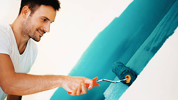 Best Basement Mold Removal  in Crete, IL
