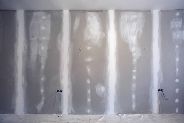 Best Mold Prevention Services  in Crete, IL